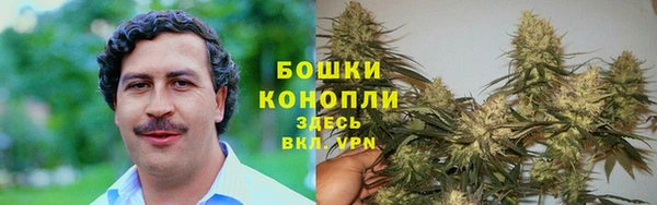 крисы Балабаново