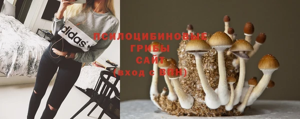 крисы Балабаново