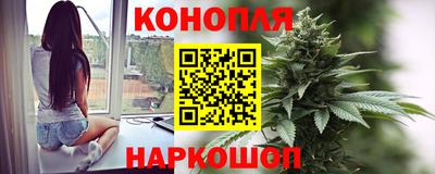 мдпв Татарск
