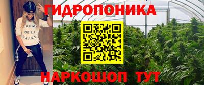 мдпв Татарск