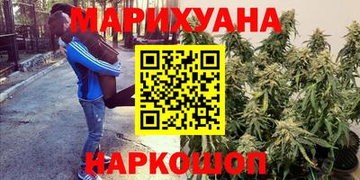 мдпв Татарск