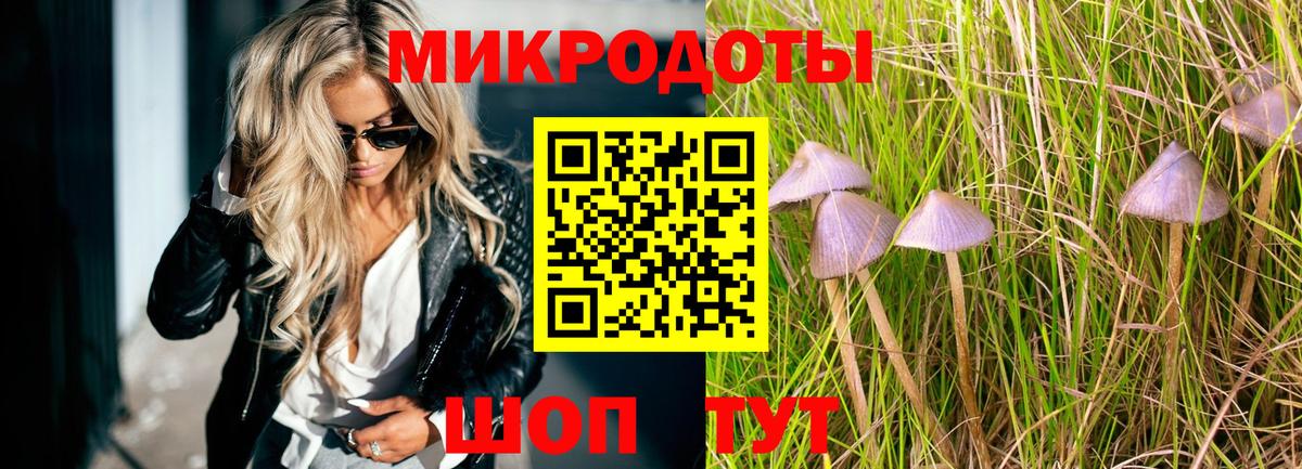 Ногинск  Псилоцибиновые грибы MAGIC MUSHROOMS  Галлюциногенные грибы Psilocybe  Вход с VPN 