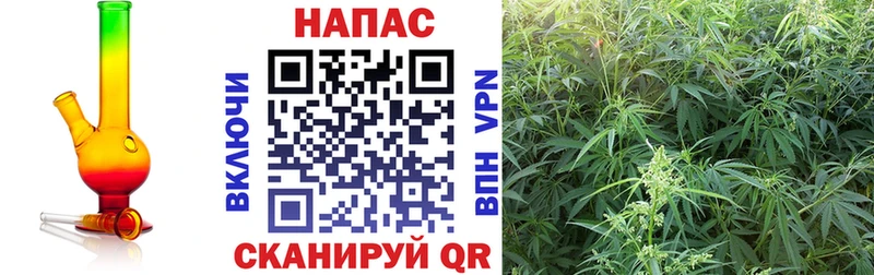 МАРИХУАНА конопля  Ногинск 